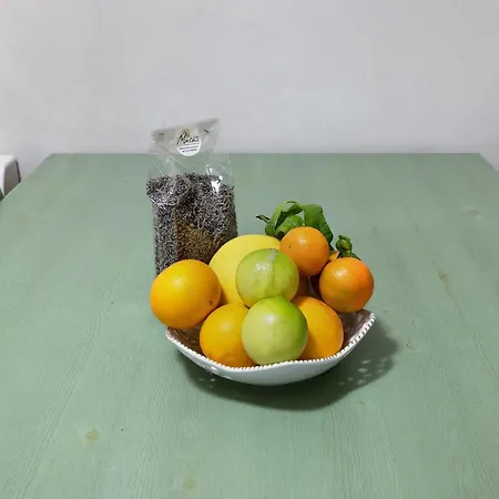 Ultimo Tiro - App Secondo Tiro 팜스테이